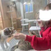 ひろ ねこかふぇ🐈 かりんとplus　上野御徒町