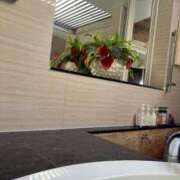 ヒメ日記 2025/11/23 12:21 投稿 みゆき 秋葉原コスプレ学園in西川口