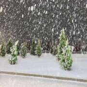 ヒメ日記 2026/01/02 19:29 投稿 みゆき 秋葉原コスプレ学園in西川口