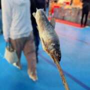 ヒメ日記 2026/02/23 20:44 投稿 みゆき 秋葉原コスプレ学園in西川口