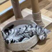 ヒメ日記 2026/02/24 18:39 投稿 みゆき 秋葉原コスプレ学園in西川口