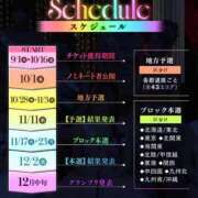 みゆき お知らせ- ̗̀📣 秋葉原コスプレ学園in西川口