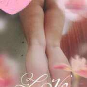 ヒメ日記 2025/11/05 09:30 投稿 羽鳥澄香 プルデリR40