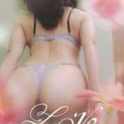 ヒメ日記 2025/11/14 10:02 投稿 羽鳥澄香 プルデリR40