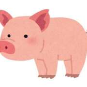 ヒメ日記 2025/11/28 18:22 投稿 えみ Evolution 2nd