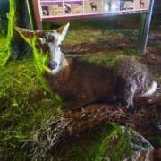 ヒメ日記 2025/12/15 13:06 投稿 えみ Evolution 2nd