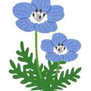 えみ いってみたい Evolution 2nd