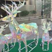 ヒメ日記 2025/11/23 15:44 投稿 りょうこ タレント倶楽部Around40