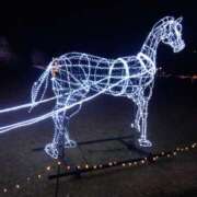 ヒメ日記 2025/11/29 14:38 投稿 りょうこ タレント倶楽部Around40