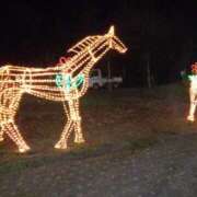 ヒメ日記 2025/12/23 22:26 投稿 りょうこ タレント倶楽部Around40