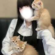 ヒメ日記 2026/02/18 21:18 投稿 しおり【罪なエロさ】 STELLA TOKYO－ステラトウキョウ－