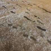 かえで 明日いるよ〜 しゃんぜりぜ