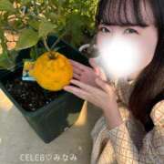 ヒメ日記 2025/11/16 12:29 投稿 Minami CELEB（セレブ）