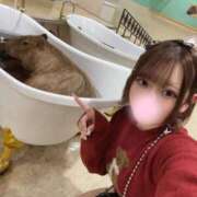 ヒメ日記 2025/11/07 18:59 投稿 みに ウルトラドリーム