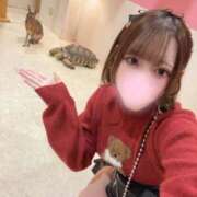 ヒメ日記 2025/11/07 20:09 投稿 みに ウルトラドリーム