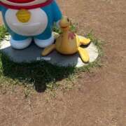 ヒメ日記 2026/08/11 10:47 投稿 なほ ハピネス東京
