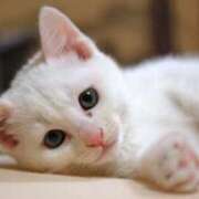 ヒメ日記 2026/01/02 09:48 投稿 秋野 モアグループ大宮人妻花壇