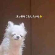 ヒメ日記 2026/04/24 12:04 投稿 ゆら クラスメイト