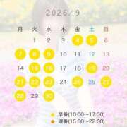 ヒメ日記 2026/08/26 20:15 投稿 かえで Lounge Yoki東京