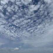 ヒメ日記 2026/01/15 22:44 投稿 こはる ギン妻パラダイス 十三店