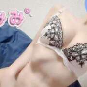 ヒメ日記 2025/11/20 17:46 投稿 みみ姫 I know すい～つ 生クリームpie