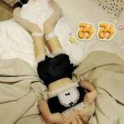 みみ姫 残り枠1か2つのみ❤️ I know すい～つ 生クリームpie