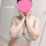 ヒメ日記 2025/11/12 20:20 投稿 藤崎ゆあ 月の真珠-五反田-