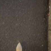 ヒメ日記 2026/03/26 18:50 投稿 藤崎ゆあ 月の真珠-五反田-