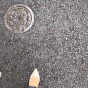 ヒメ日記 2026/04/02 13:00 投稿 藤崎ゆあ 月の真珠-五反田-