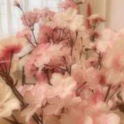 ヒメ日記 2026/01/01 07:18 投稿 神楽【かぐら】 丸妻 西船橋店