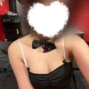 ヒメ日記 2026/02/17 11:41 投稿 イルミ バニーコレクション秋田店