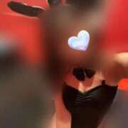 ヒメ日記 2026/03/02 11:04 投稿 イルミ バニーコレクション秋田店