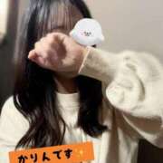 ヒメ日記 2025/11/13 14:45 投稿 かりん ぷるるん小町梅田店