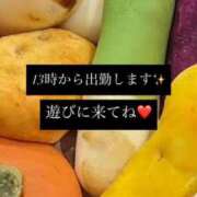 ヒメ日記 2026/02/17 10:16 投稿 かりん ぷるるん小町梅田店