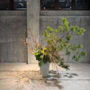 ヒメ日記 2026/06/26 13:39 投稿 如月 蓮花 ELEGANCE