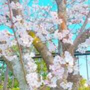 みもり すっかり春だね🌷 出勤！ 川越ぷよステーション