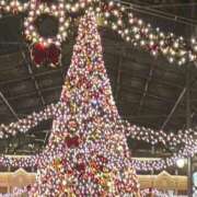 ヒメ日記 2025/12/05 10:43 投稿 みく ニューグランド