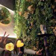 ヒメ日記 2026/04/11 15:43 投稿 みく ニューグランド