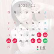 ヒメ日記 2025/11/21 15:14 投稿 かれん ニューグランド