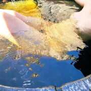 ヒメ日記 2025/12/06 11:59 投稿 あゆ 熊本ちゃんこ　八代店