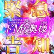 あんり お知らせ🩷 ドMな奥様 京都店