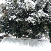 ヒメ日記 2026/02/09 10:02 投稿 北野 春(きたのはる) 五十路マダムエクスプレス厚木店(カサブランカグループ)