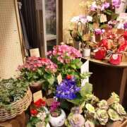 ヒメ日記 2026/02/10 13:58 投稿 北野 春(きたのはる) 五十路マダムエクスプレス厚木店(カサブランカグループ)