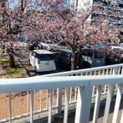 北野 春(きたのはる) おはようございます? 五十路マダムエクスプレス厚木店(カサブランカグループ)