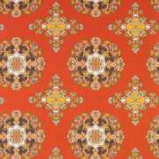 ヒメ日記 2025/11/11 06:55 投稿 のりか ちゃんこ東大阪 布施・長田店