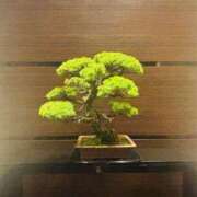 ヒメ日記 2025/11/17 06:03 投稿 空川 唯 人妻セレブ宮殿