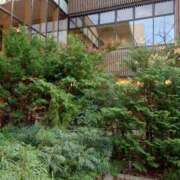 ヒメ日記 2025/11/04 21:49 投稿 あん 新宿プチドール