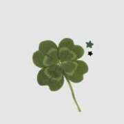 あん 🍀今週の予定🍀 新宿プチドール