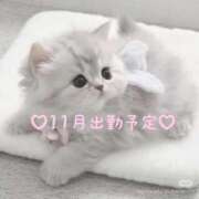 ヒメ日記 2025/11/14 06:00 投稿 かな ZERO