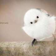 ヒメ日記 2025/10/30 22:20 投稿 こよみ もしも素敵な妻が指輪をはずしたら・・・